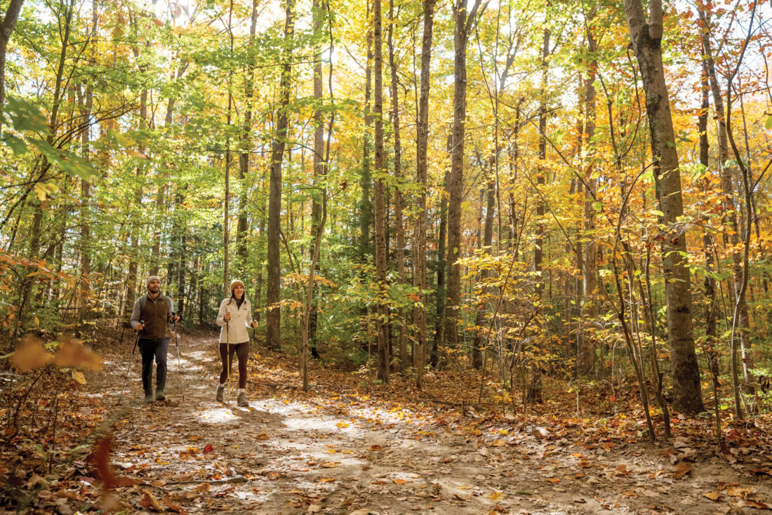 West Virginia Department of Tourism releases 2025 fall foliage projection map